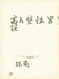 高h双性男男小说