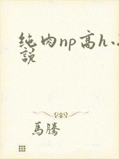 纯肉np高h小说