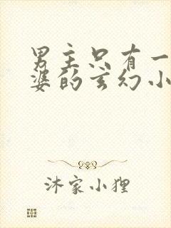 男主只有一个老婆的玄幻小说封面