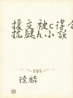 援交被c得合不拢腿h小说