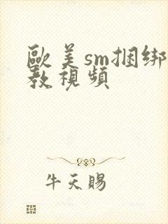 欧美sm捆绑调教视频封面