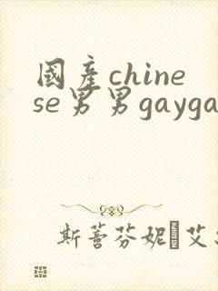国产chinese男男gaygay 网站