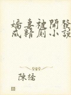 娇妻被开发调教成精厕小说