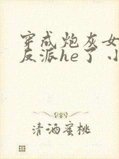 穿成炮灰女配和反派he了 小说