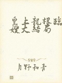 皇上龙根临幸嫂嫂大结局封面