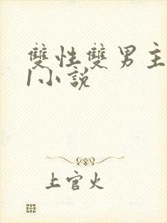 双性双男主1v1小说