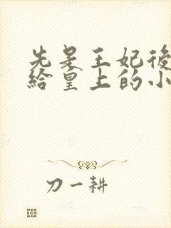 先是王妃后又嫁给皇上的小说