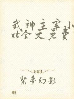 武神主宰小说txt全文免费下载