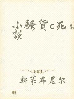 小骚货c死你小说