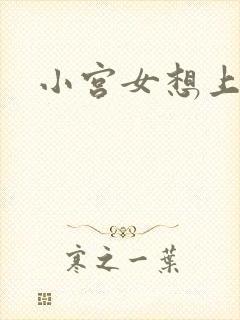 小宫女想上位
