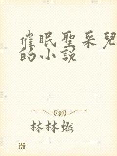 催眠圣采儿恶堕的小说封面