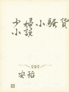 少妇小骚货系列小说