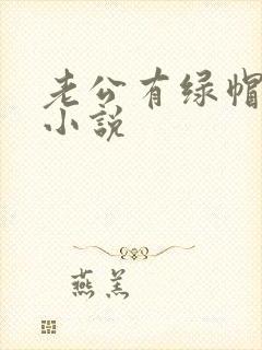 老公有绿帽癖的小说