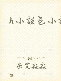 h小说色小说封面