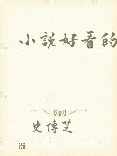 小说好看的h