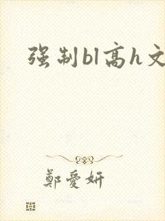 强制bl高h文