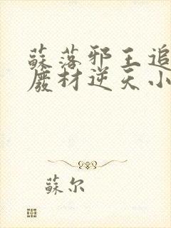 苏落邪王追妻:废材逆天小姐