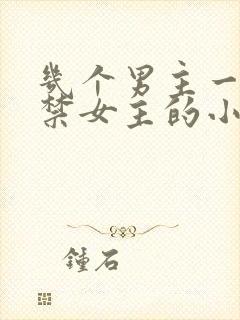 几个男主一起囚禁女主的小说