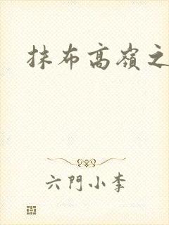 抹布高岭之花封面