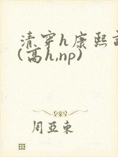 清穿h康熙调教(高h,np)