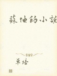 苏他的小说作品