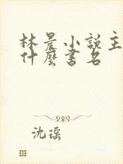 林晨小说主角叫什么书名