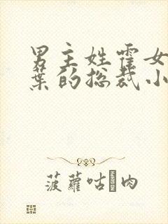 男主姓霍女主姓叶的总裁小说封面