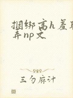 捆绑高h羞耻玩弄np文