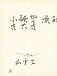 小骚货 操的你爽不爽封面