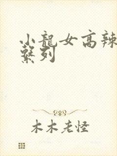 小龙女高辣h文系列