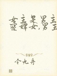 女主是男主的侍寝婢女,男主后来变成了皇上