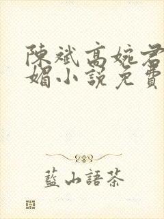 陈斌高婉君赵心媚小说免费