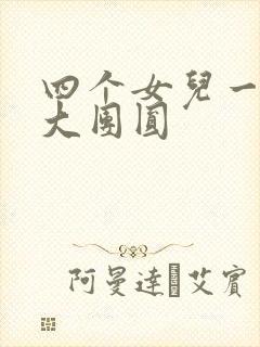 四个女儿一锅烩大团圆封面