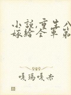 小说,重生八零嫁给全军第一硬汉