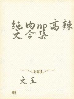 纯肉np高辣h文合集封面