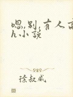 嗯,别,有人高h小说