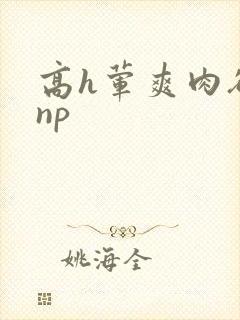 高h荤爽肉欲文np