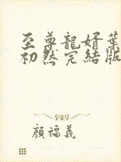 至尊龙婿叶辰萧初然完结版封面