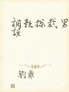 调教总裁男男小说封面