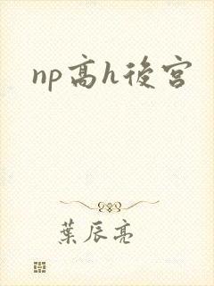 np高h后宫