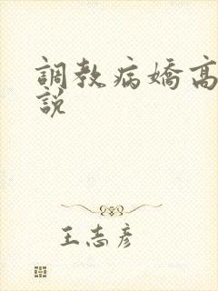 调教病娇高h小说