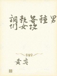 调教各种男总裁们女攻