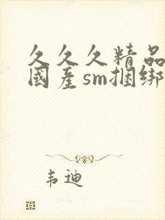 久久久精品调教国产sm捆绑