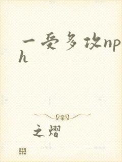 一受多攻np高h