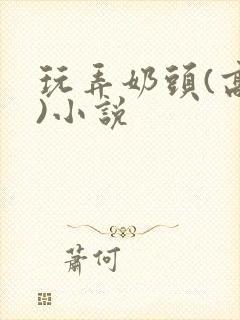 玩弄奶头(高h)小说