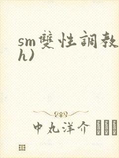 sm双性调教(h)封面