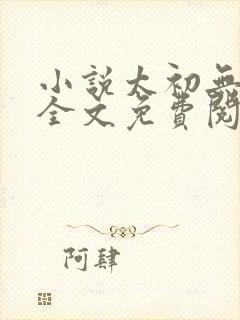 小说太初无弹窗全文免费阅读
