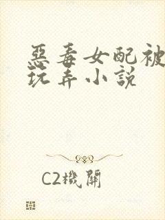 恶毒女配被调教玩弄小说