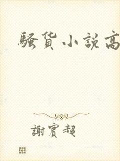 骚货小说高h