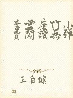 李君唐竹小说免费阅读无弹窗全文封面